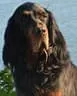 Wanda Bild 1