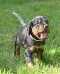 1_dsc_0142.jpg