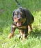 1_dsc_0143.jpg