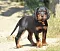 1_dsc_0889_2.jpg