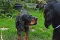 3_dsc_0009_800x530.jpg