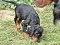 dsc_0034_23grn.jpg