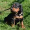 dsc_0048_800x797.jpg