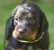 dsc_0118.jpg