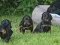 dsc_0164.jpg