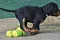 dsc_0691_2.jpg